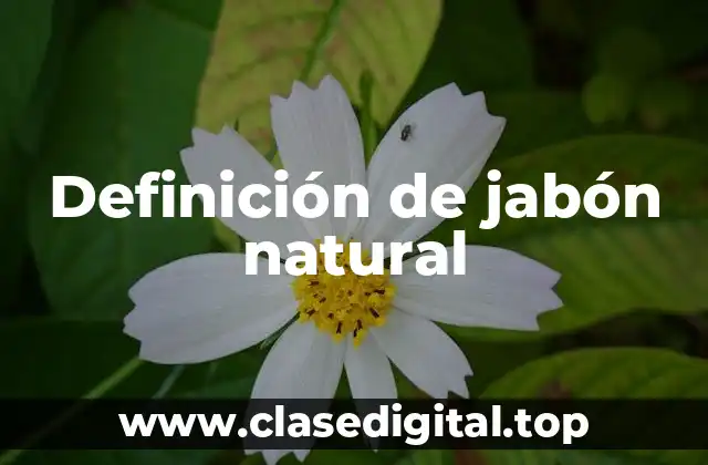 Definición de jabón natural