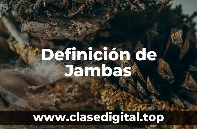 Definición técnica de Jamba