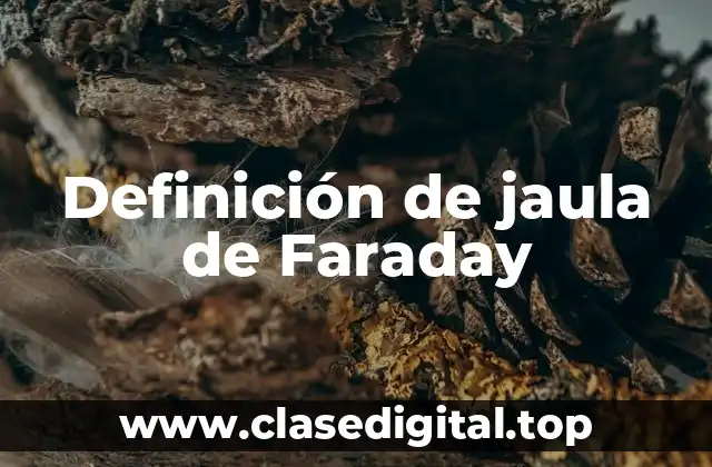Definición de jaula de Faraday