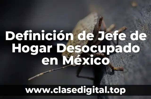 Definición de Jefe de Hogar Desocupado en México