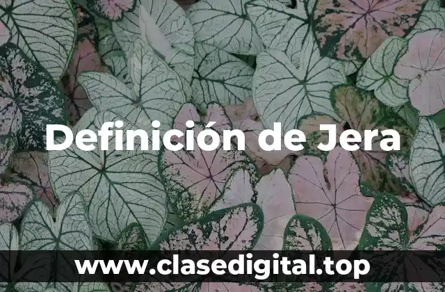 Definición de Jera