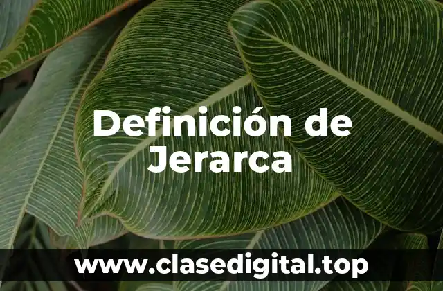 Definición de Jerarca