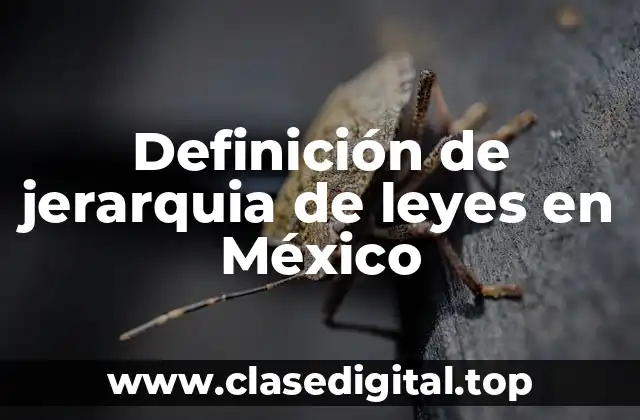 Definición de jerarquia de leyes en México