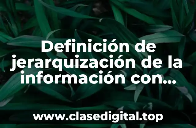 Definición de jerarquización de la información con punto y coma
