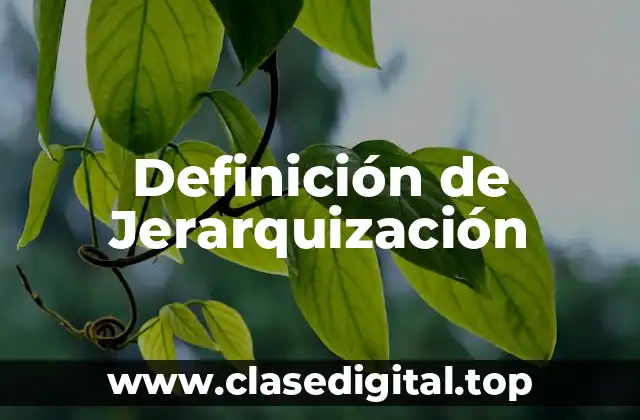 Definición de Jerarquización