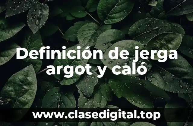 Definición técnica de jerga