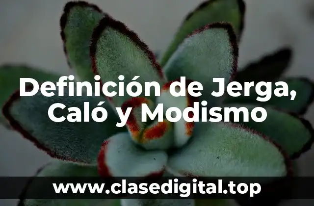 Definición de Jerga, Caló y Modismo