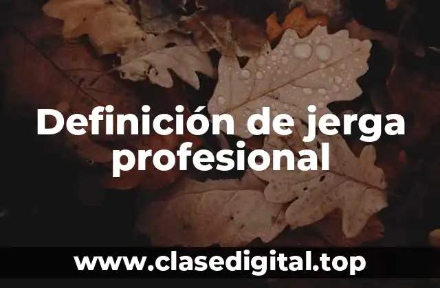 Ejemplos de jerga profesional