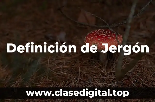 Definición de Jergón