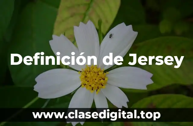 Definición de Jersey