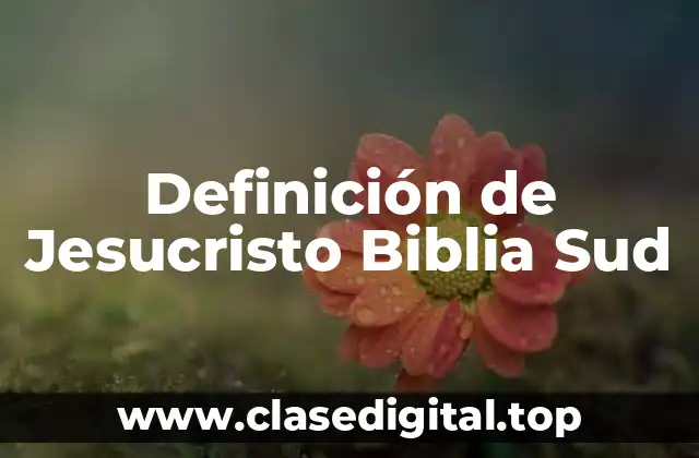Definición de Jesucristo Biblia Sud