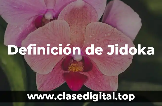 Definición de Jidoka