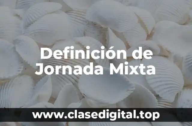 Definición de Jornada Mixta