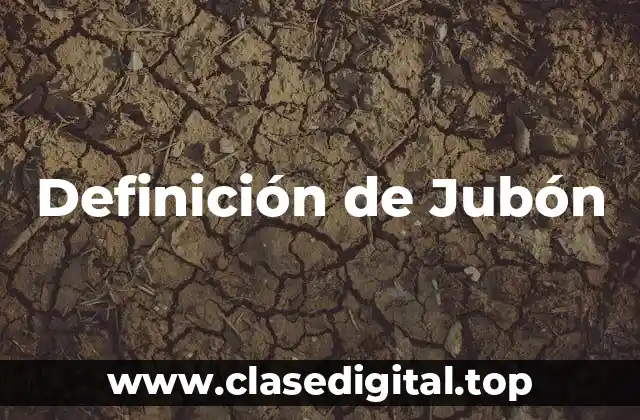 Definición de Jubón