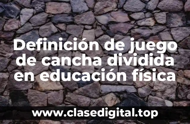 Definición técnica de juego de cancha dividida en educación física