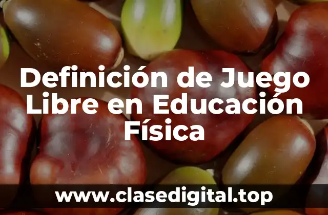 Definición de Juego Libre en Educación Física