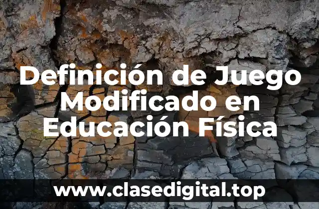 Definición de Juego Modificado en Educación Física