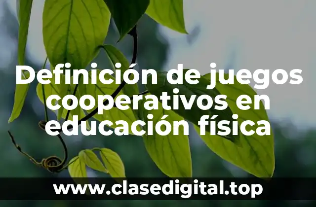 Definición de juegos cooperativos en educación física