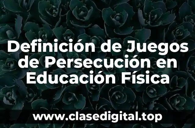 Definición de Juegos de Persecución en Educación Física