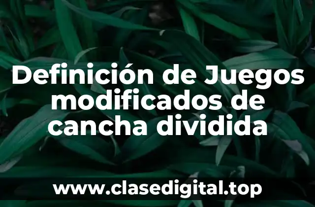 Definición de Juegos modificados de cancha dividida