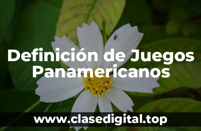 Definición de Juegos Panamericanos