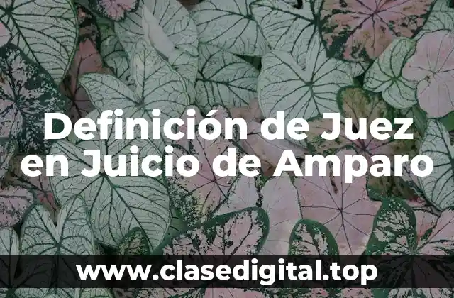 Definición de Juez en Juicio de Amparo