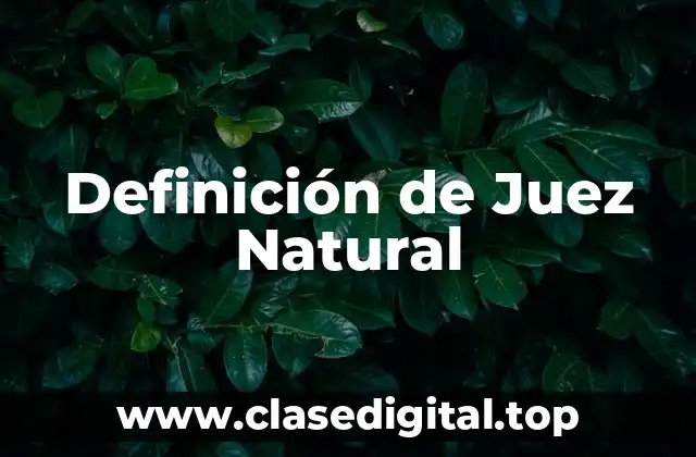 Definición de Juez Natural