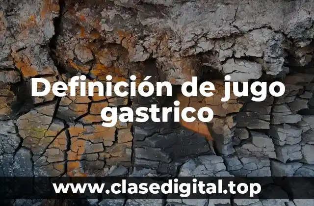 Definición de jugo gastrico