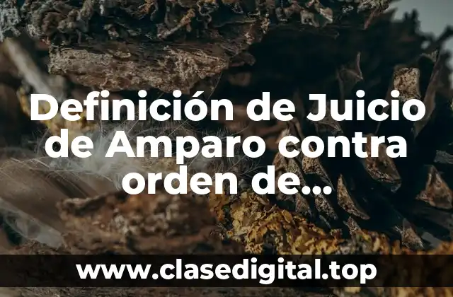 Definición de Juicio de Amparo contra orden de aprehensión