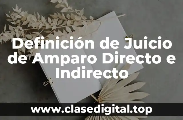 Definición de Juicio de Amparo Directo e Indirecto