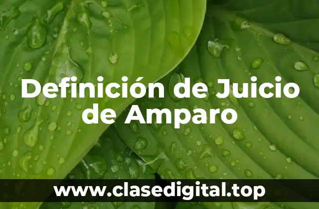 Definición de Juicio de Amparo