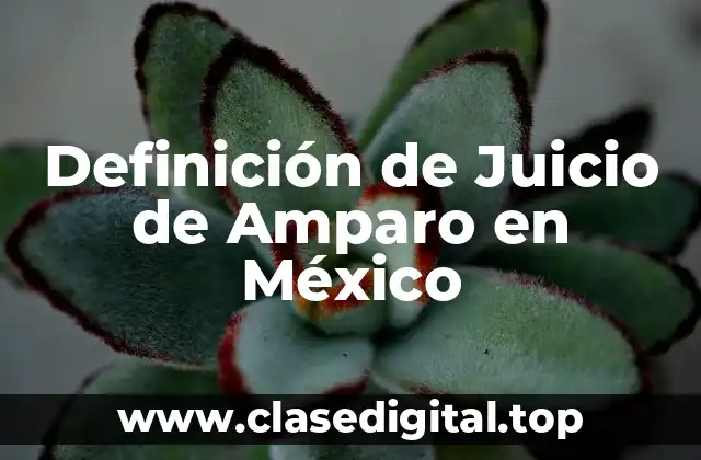 Definición de Juicio de Amparo en México