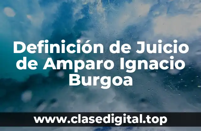 Definición técnica de Juicio de Amparo Ignacio Burgoa