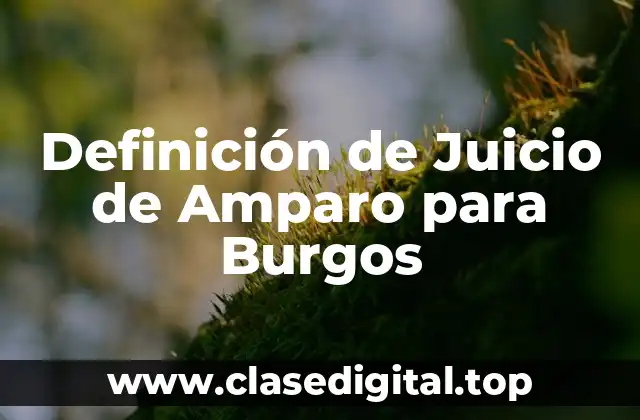 Definición de Juicio de Amparo para Burgos