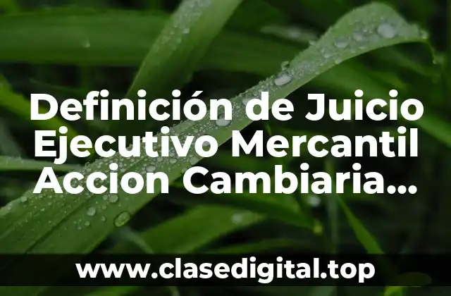 Definición de Juicio Ejecutivo Mercantil Accion Cambiaria Alsina