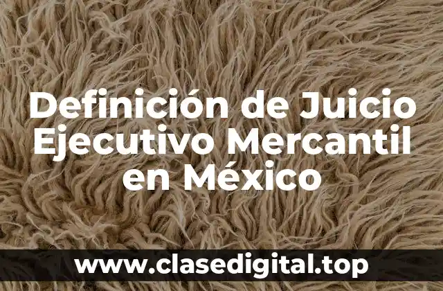 Definición de Juicio Ejecutivo Mercantil en México