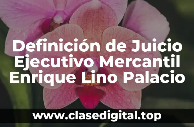 Definición de Juicio Ejecutivo Mercantil Enrique Lino Palacio
