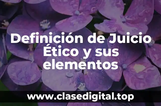 Definición de Juicio Ético y sus elementos