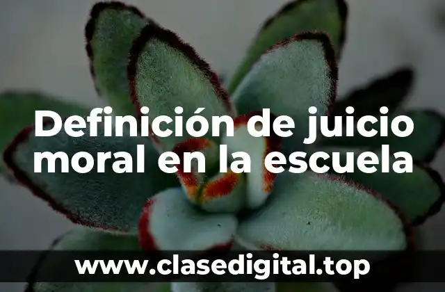 Definición de juicio moral en la escuela
