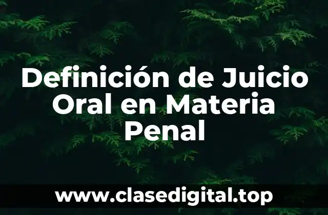 Definición de Juicio Oral en Materia Penal