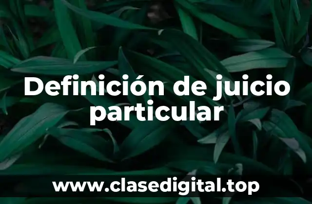 Definición de juicio particular