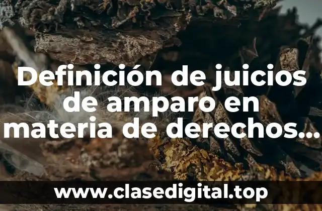 Definición de juicios de amparo en materia de derechos humanos