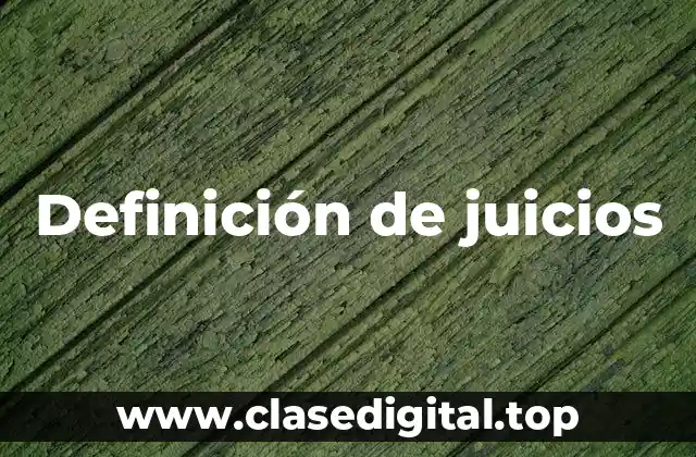 Definición de juicios