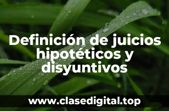 Ejemplos de juicios hipotéticos