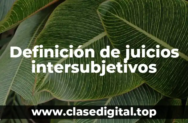 Definición de juicios intersubjetivos