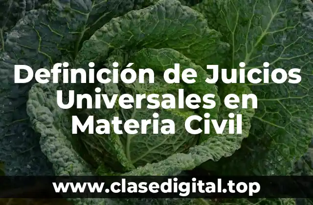 Definición de Juicios Universales en Materia Civil