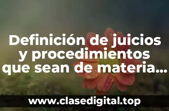 Definición de juicios y procedimientos que sean de materia civil