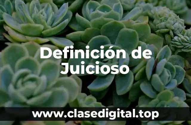 Definición de Juicioso