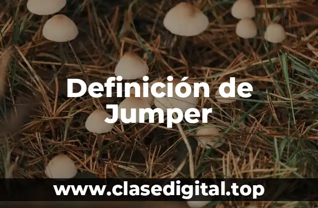 Definición de Jumper