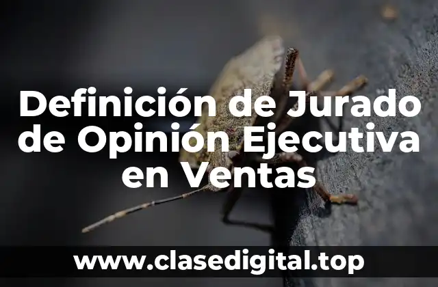 Definición técnica de jurado de opinión ejecutiva en ventas